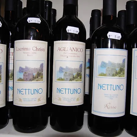 Marina Del Cantone 纳拉诺