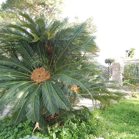 Marina Del Cantone 5*